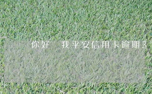 你好 我平安信用卡逾期3